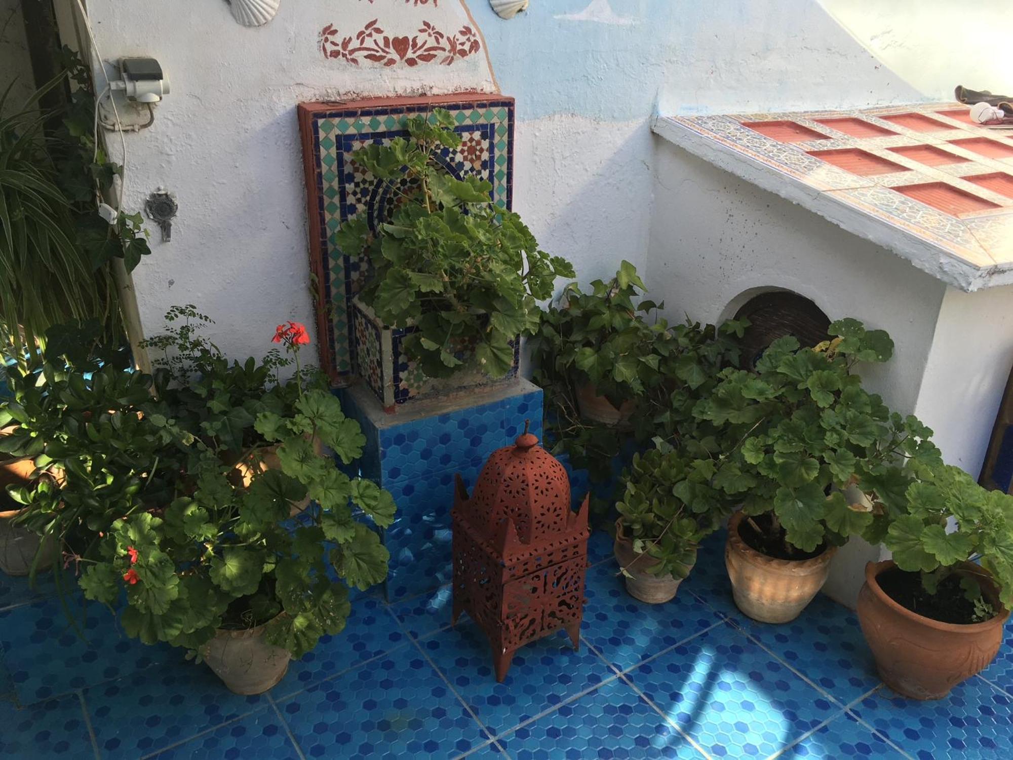 Hathor ,Casa Marroqui Con Dos Terrazas En La Medina Antigua , Ideal Parejas!! Wifi!! 아실라 외부 사진